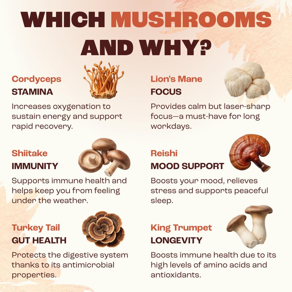 RYZE SUPERFOODS Mushroom Medium Roast Coffee USDA Organic with 6 Adaptogenic Mushrooms, USA Grown Instant Coffee for Better Energy, Focus Digestion Immunity with Lions Mane & Turkey Tail 30. Pack of 1