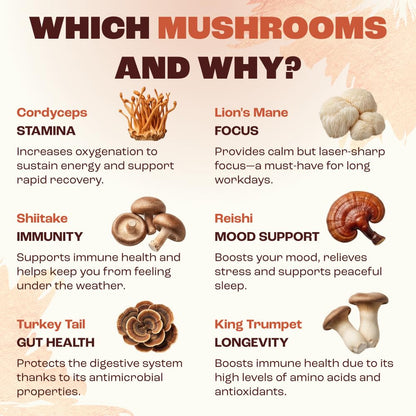 RYZE SUPERFOODS Mushroom Medium Roast Coffee USDA Organic with 6 Adaptogenic Mushrooms, USA Grown Instant Coffee for Better Energy, Focus Digestion Immunity with Lions Mane & Turkey Tail 30. Pack of 1