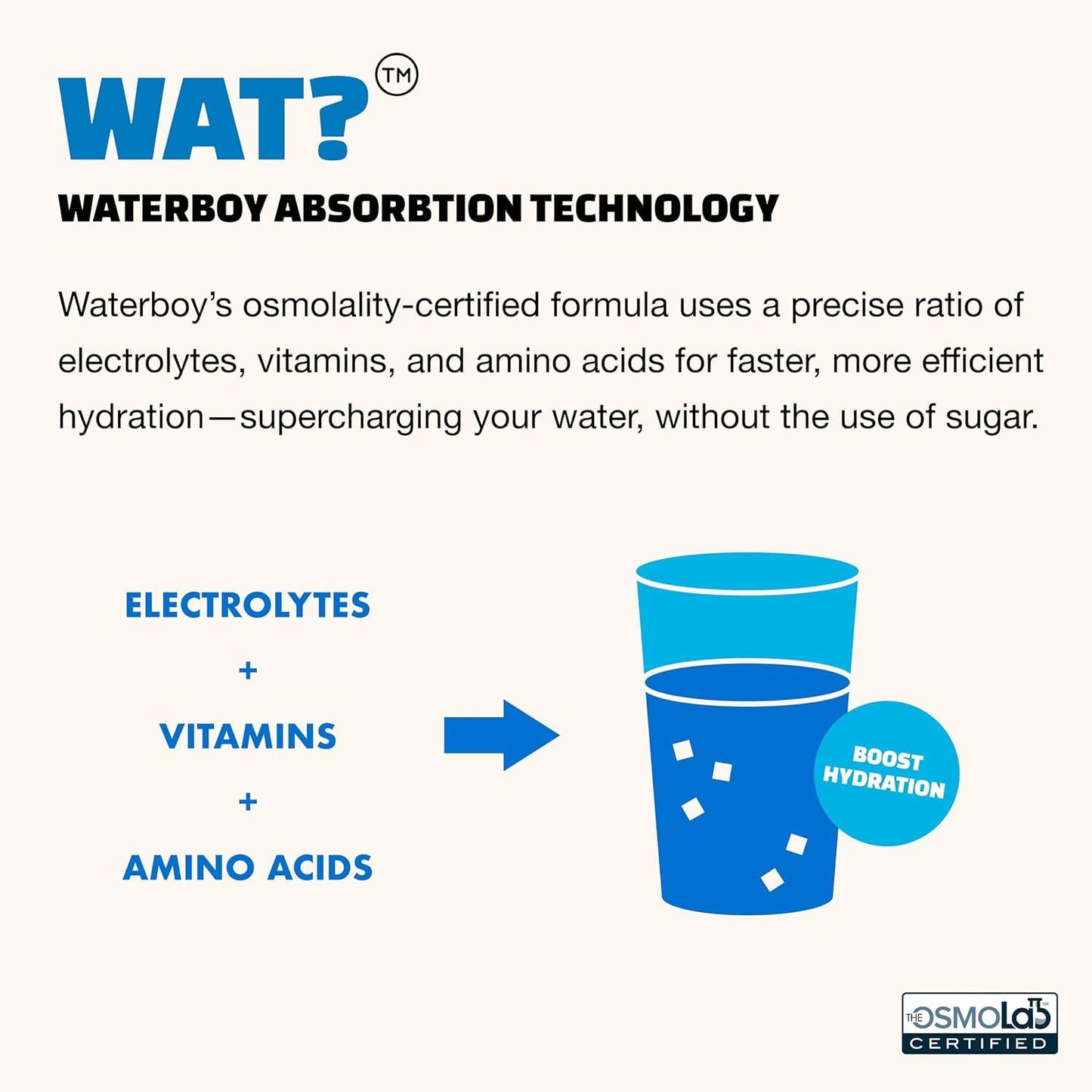 Waterboy - Weekend Recovery, Variety Pack, Sugar Free Electrolytes Powder Drink Mix - 24ct Hydration Packets