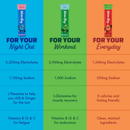 Waterboy - Weekend Recovery, Variety Pack, Sugar Free Electrolytes Powder Drink Mix - 24ct Hydration Packets