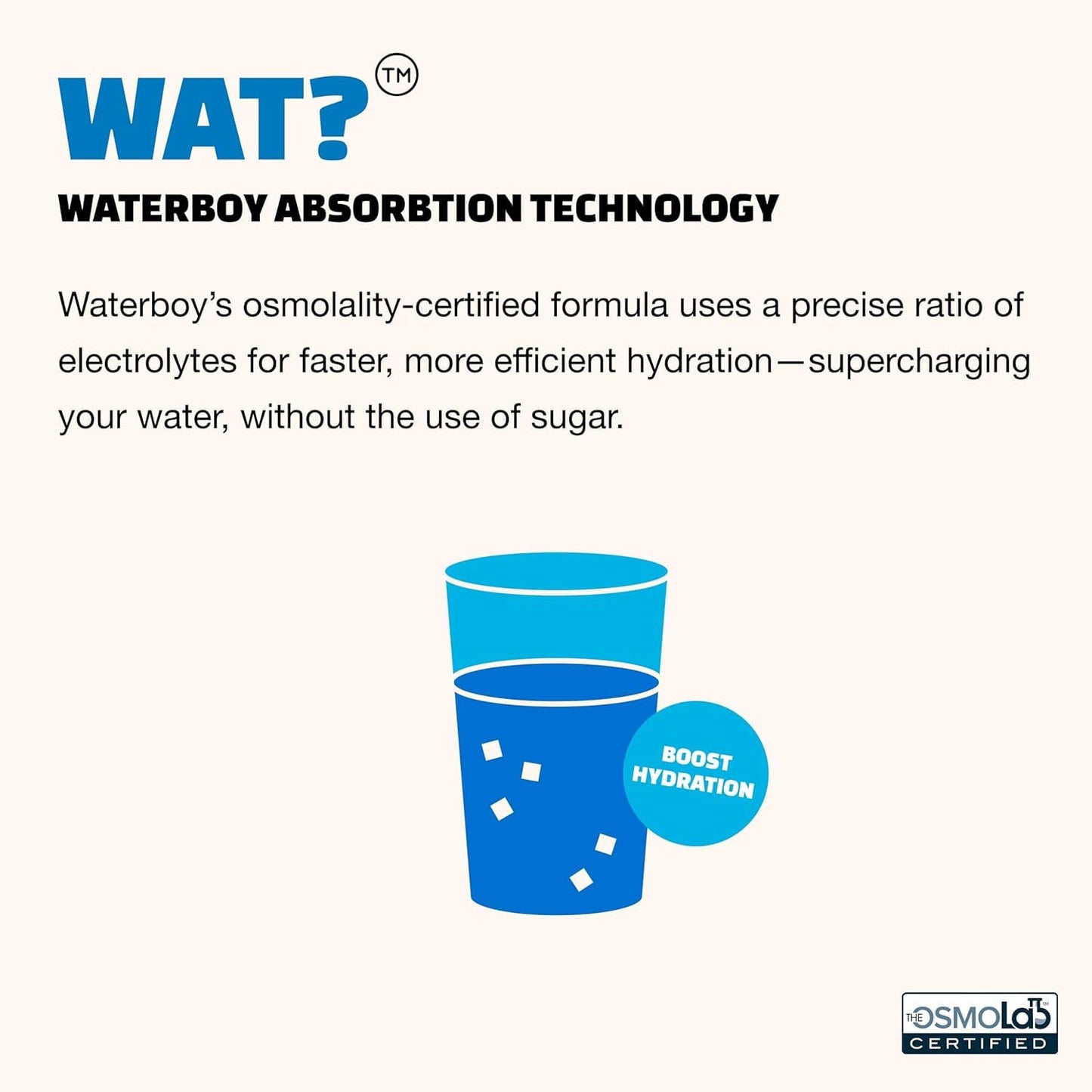 Waterboy - Weekend Recovery, Variety Pack, Sugar Free Electrolytes Powder Drink Mix - 24ct Hydration Packets