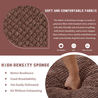 Upholstered Convertible Lounge Chair with 2 Soft Pillows