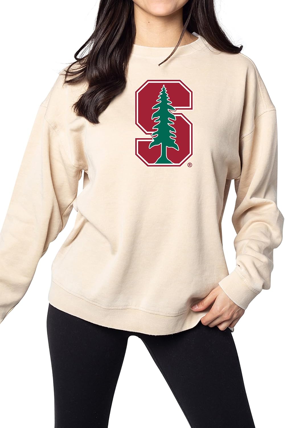 chicka-d NCAA womens Campus Pullover