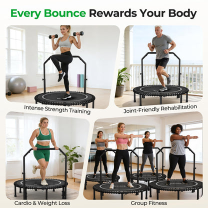 BCAN BT2 450/550LBS Mini Rebounder Trampoline for Adults with Bar, Fitness Trampoline with Bungees, Adjustable Handle, Stable & Quiet, Indoor Outdoor, Whole-Body Workout - 40IN/48IN | FED Fitness