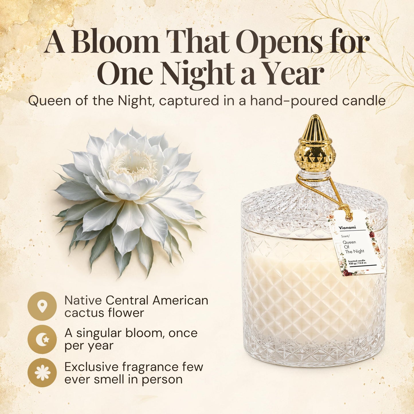 VIONAMI Ghost Orchid Rare Flower Fragrance Luxury Scented Candle Gift | Decorative Soy Candles Birthday Gifts for Women, Elegant Glass Jar, 14.8oz, 80Hr Long Lasting Burn, Luxury Candles for Women