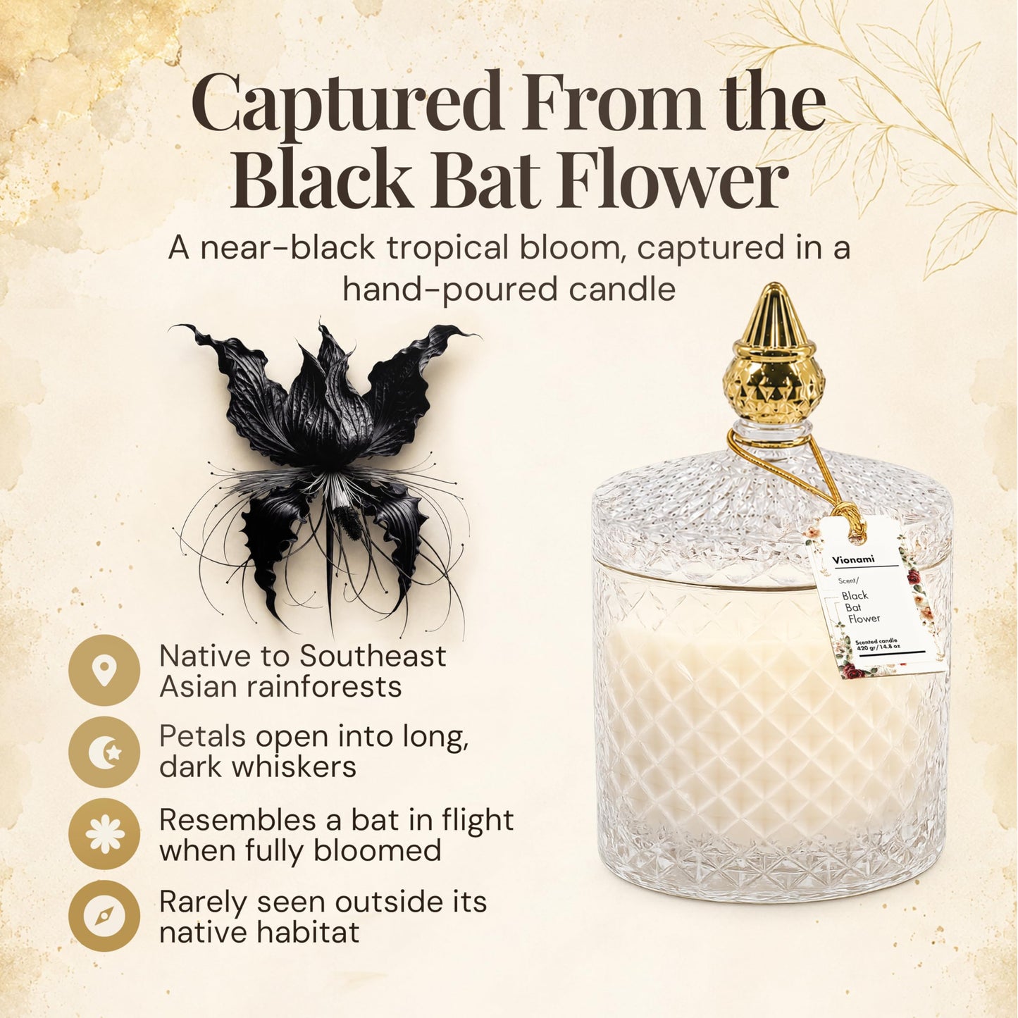VIONAMI Ghost Orchid Rare Flower Fragrance Luxury Scented Candle Gift | Decorative Soy Candles Birthday Gifts for Women, Elegant Glass Jar, 14.8oz, 80Hr Long Lasting Burn, Luxury Candles for Women