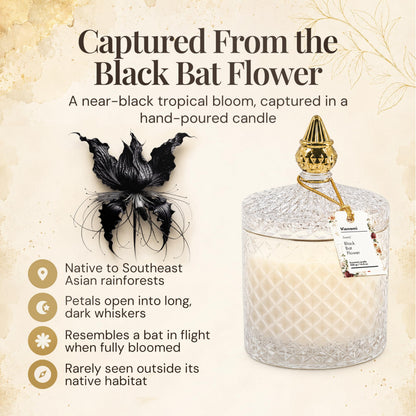 VIONAMI Ghost Orchid Rare Flower Fragrance Luxury Scented Candle Gift | Decorative Soy Candles Birthday Gifts for Women, Elegant Glass Jar, 14.8oz, 80Hr Long Lasting Burn, Luxury Candles for Women