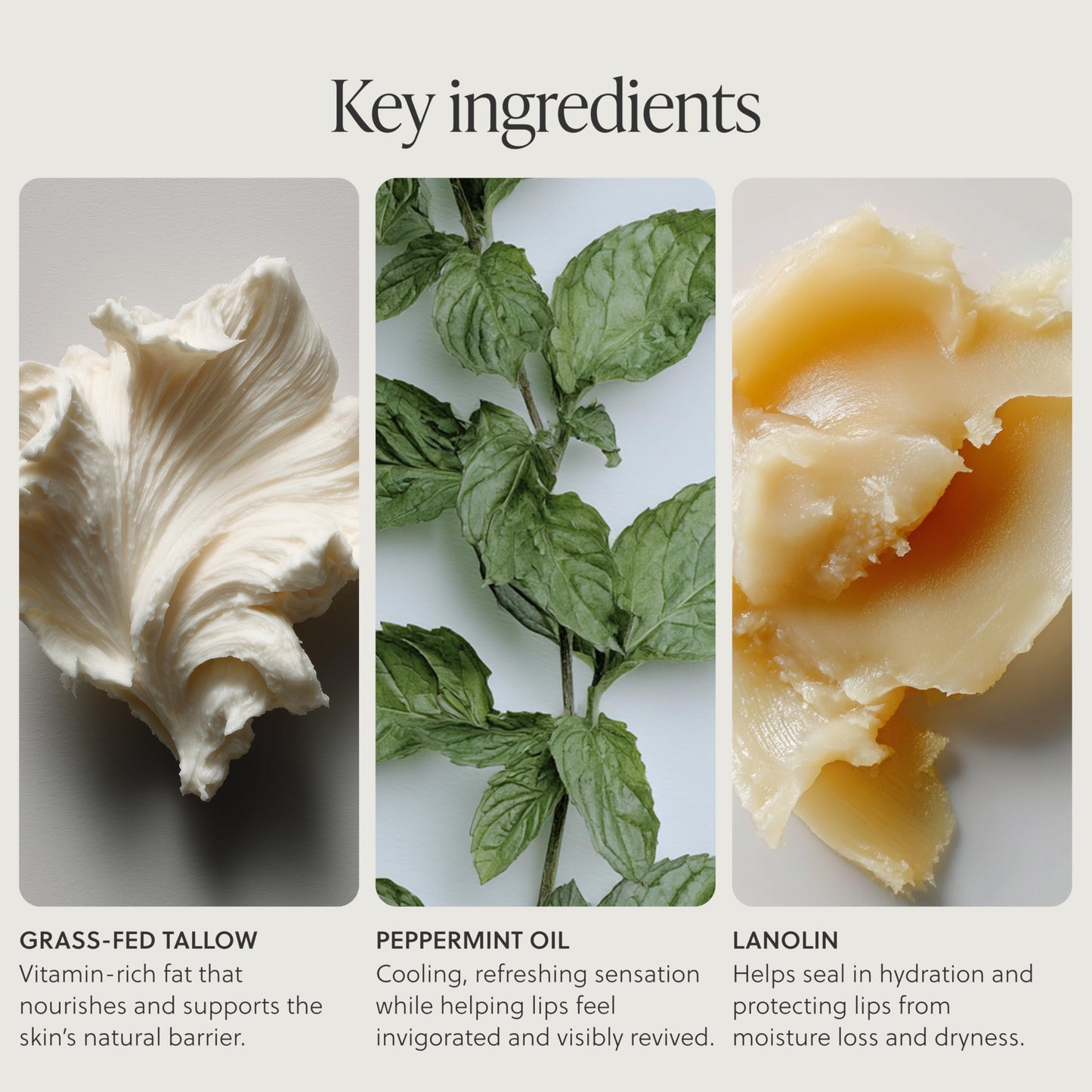 Grass-Fed Tallow Lip Balm, Coco Vanilla, Moisturizing
