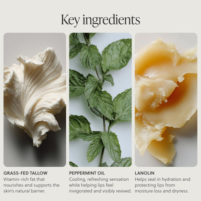 Grass-Fed Tallow Lip Balm, Coco Vanilla, Moisturizing