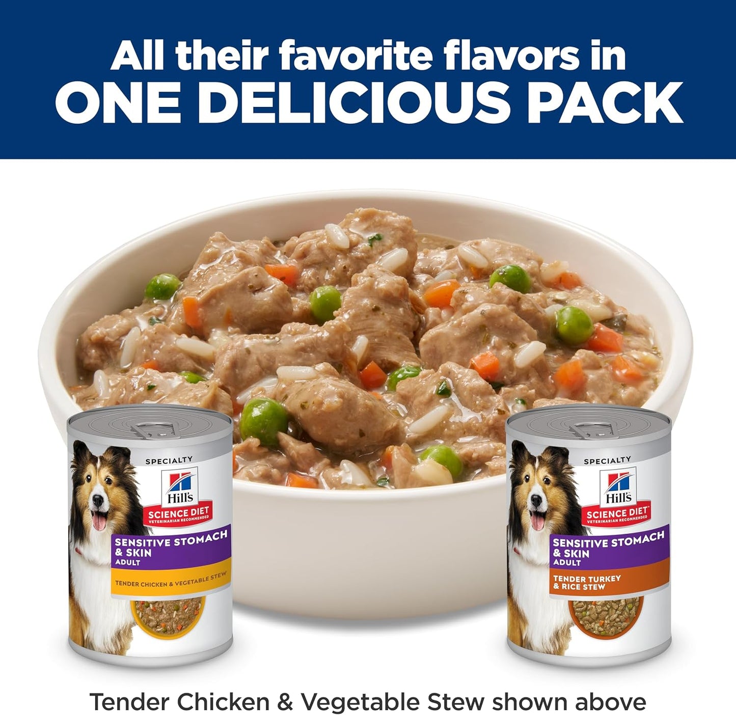 Hill's Science Diet Adult Sensitive Stomach & Skin Wet Dog Food, Turkey & Rice, 12.5 oz. Cans, 12-Pack