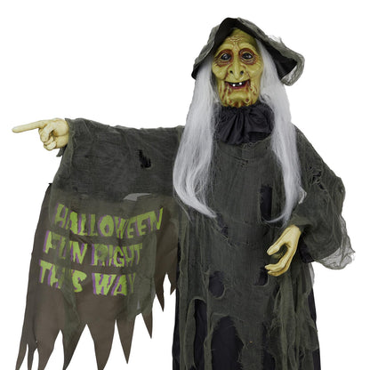 AW 9Ft Animatronics Flying Witch Hovering Broom Animated AC 100V-240V Halloween Outdoor Decoration Motion Activated 2026