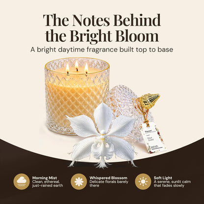 VIONAMI Ghost Orchid Rare Flower Fragrance Luxury Scented Candle Gift | Decorative Soy Candles Birthday Gifts for Women, Elegant Glass Jar, 14.8oz, 80Hr Long Lasting Burn, Luxury Candles for Women