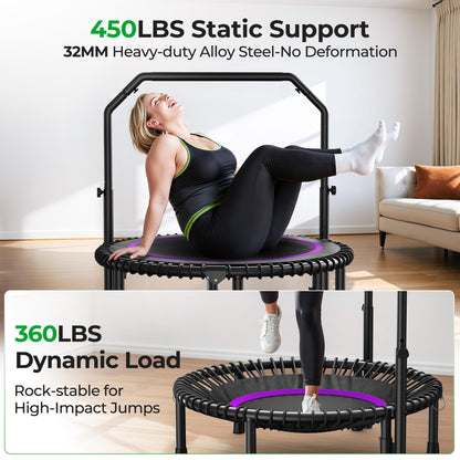 BCAN BT2 450/550LBS Mini Rebounder Trampoline for Adults with Bar, Fitness Trampoline with Bungees, Adjustable Handle, Stable & Quiet, Indoor Outdoor, Whole-Body Workout - 40IN/48IN | FED Fitness