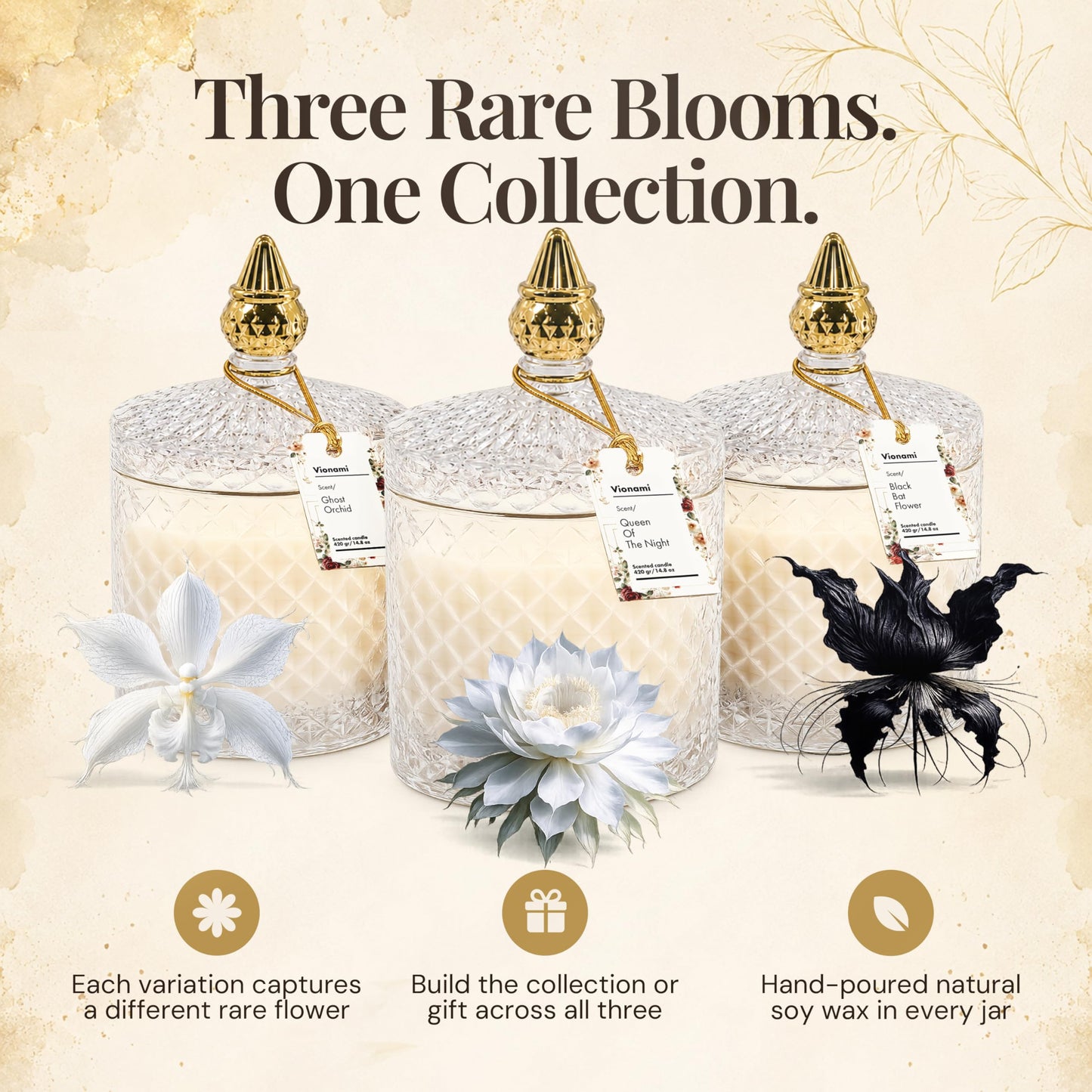 VIONAMI Ghost Orchid Rare Flower Fragrance Luxury Scented Candle Gift | Decorative Soy Candles Birthday Gifts for Women, Elegant Glass Jar, 14.8oz, 80Hr Long Lasting Burn, Luxury Candles for Women