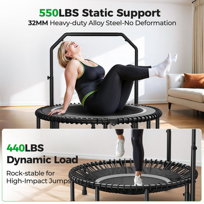 BCAN BT2 450/550LBS Mini Rebounder Trampoline for Adults with Bar, Fitness Trampoline with Bungees, Adjustable Handle, Stable & Quiet, Indoor Outdoor, Whole-Body Workout - 40IN/48IN | FED Fitness