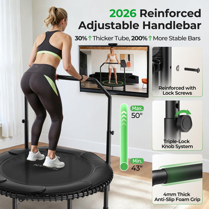BCAN BT2 450/550LBS Mini Rebounder Trampoline for Adults with Bar, Fitness Trampoline with Bungees, Adjustable Handle, Stable & Quiet, Indoor Outdoor, Whole-Body Workout - 40IN/48IN | FED Fitness
