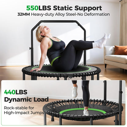 BCAN BT2 450/550LBS Mini Rebounder Trampoline for Adults with Bar, Fitness Trampoline with Bungees, Adjustable Handle, Stable & Quiet, Indoor Outdoor, Whole-Body Workout - 40IN/48IN | FED Fitness