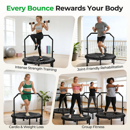 BCAN BT2 450/550LBS Mini Rebounder Trampoline for Adults with Bar, Fitness Trampoline with Bungees, Adjustable Handle, Stable & Quiet, Indoor Outdoor, Whole-Body Workout - 40IN/48IN | FED Fitness