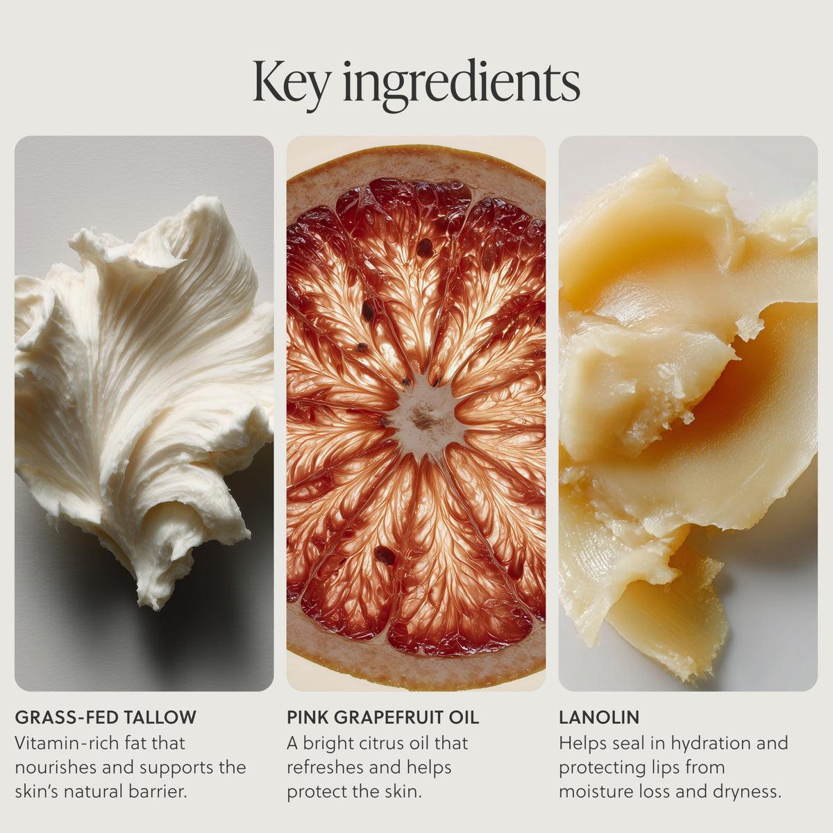 Grass-Fed Tallow Lip Balm, Coco Vanilla, Moisturizing