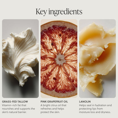 Grass-Fed Tallow Lip Balm, Coco Vanilla, Moisturizing