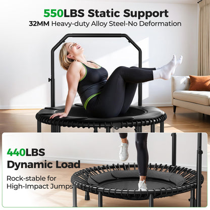 BCAN BT2 450/550LBS Mini Rebounder Trampoline for Adults with Bar, Fitness Trampoline with Bungees, Adjustable Handle, Stable & Quiet, Indoor Outdoor, Whole-Body Workout - 40IN/48IN | FED Fitness