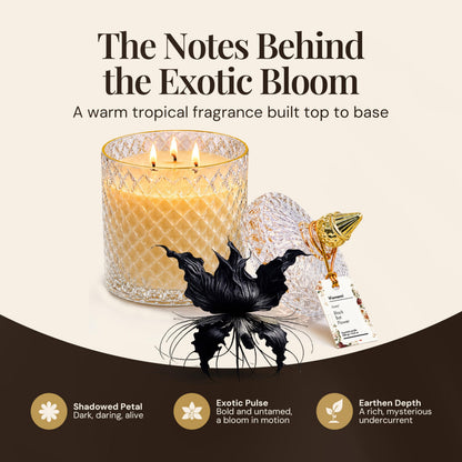 VIONAMI Ghost Orchid Rare Flower Fragrance Luxury Scented Candle Gift | Decorative Soy Candles Birthday Gifts for Women, Elegant Glass Jar, 14.8oz, 80Hr Long Lasting Burn, Luxury Candles for Women