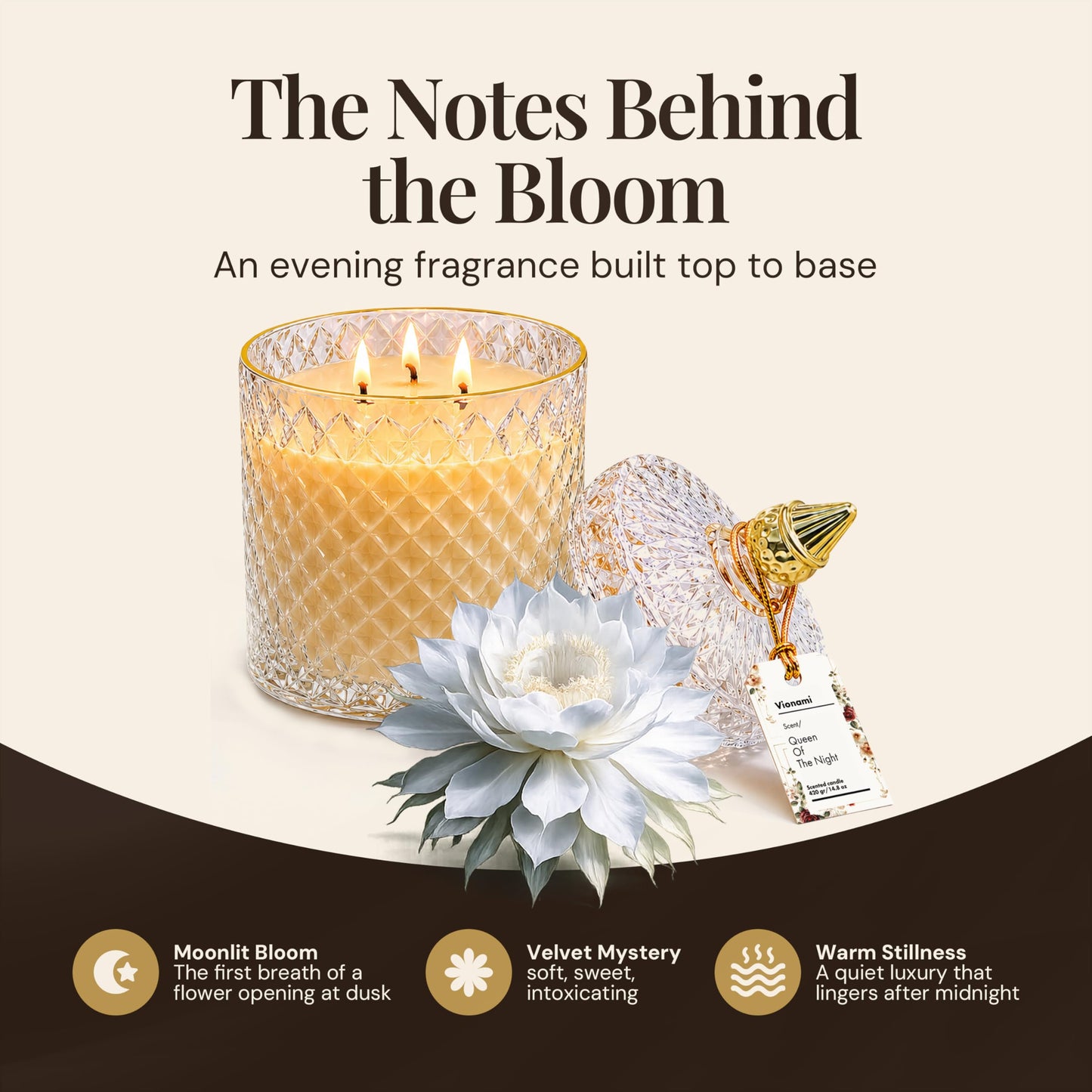 VIONAMI Ghost Orchid Rare Flower Fragrance Luxury Scented Candle Gift | Decorative Soy Candles Birthday Gifts for Women, Elegant Glass Jar, 14.8oz, 80Hr Long Lasting Burn, Luxury Candles for Women