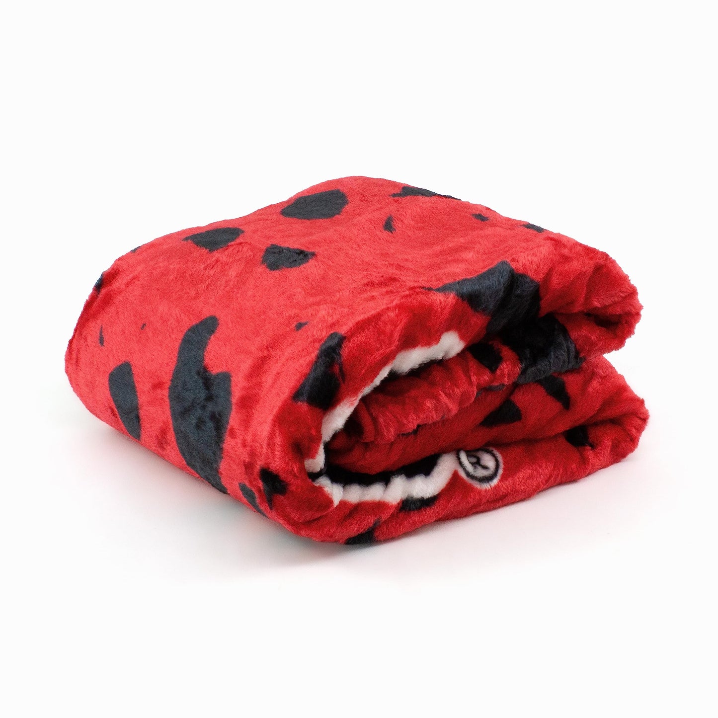 College Covers Everything Comfy Florida Gators Soft and Warm Huge Raschel Throw Blanket, 86" x 63"