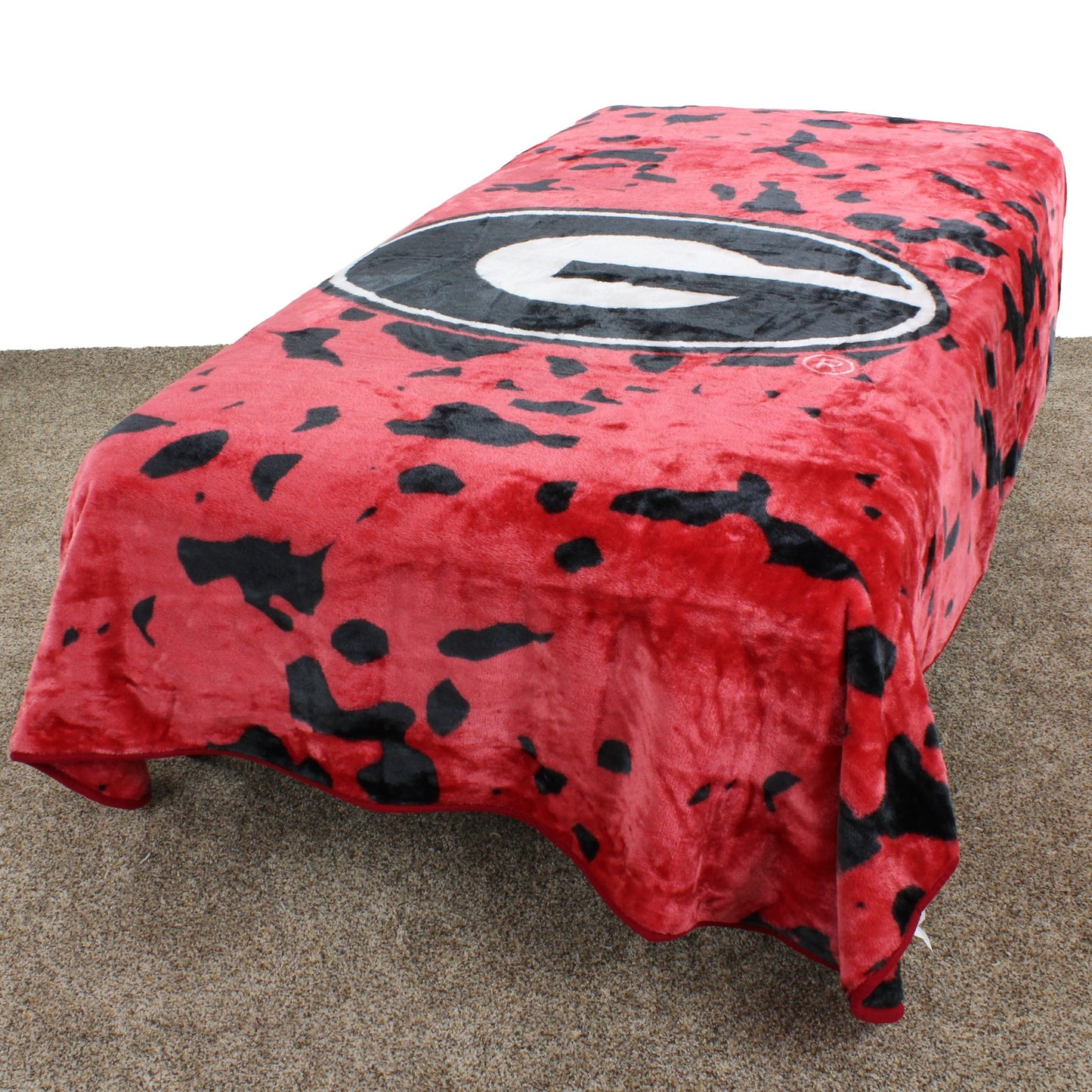 College Covers Everything Comfy Florida Gators Soft and Warm Huge Raschel Throw Blanket, 86" x 63"