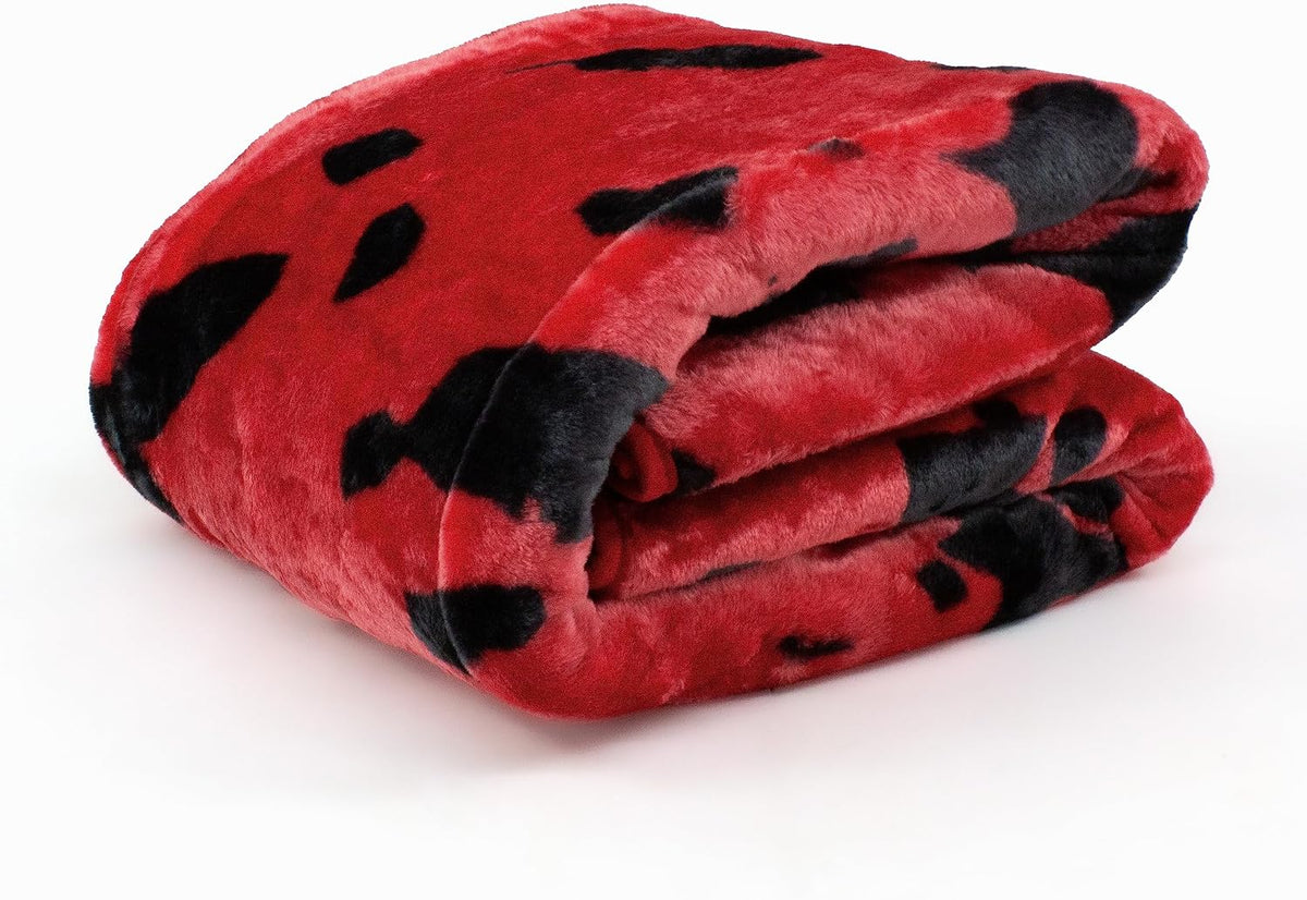Everything Comfy Georgia Bulldogs Soft and Warm Huge Raschel Throw Blanket, 86" x 63"