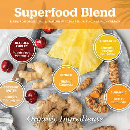 PuriVibe Pineapple Ginger Shot - Superfood Juice Powder, Wellness Shots Supplement - Supports Immunity & Digestion - Stick Packs